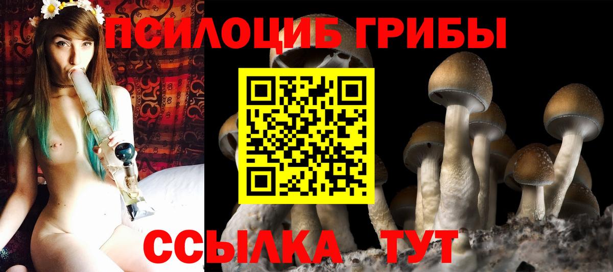Алексеевка  где продают   Вход с VPN  Галлюциногенные грибы Cubensis 