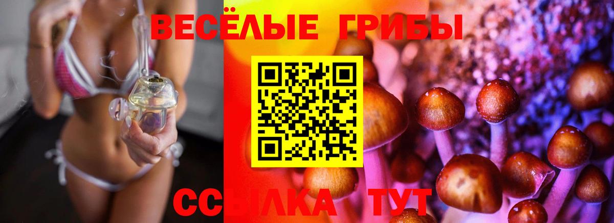 Галлюциногенные грибы Psilocybe Алексеевка